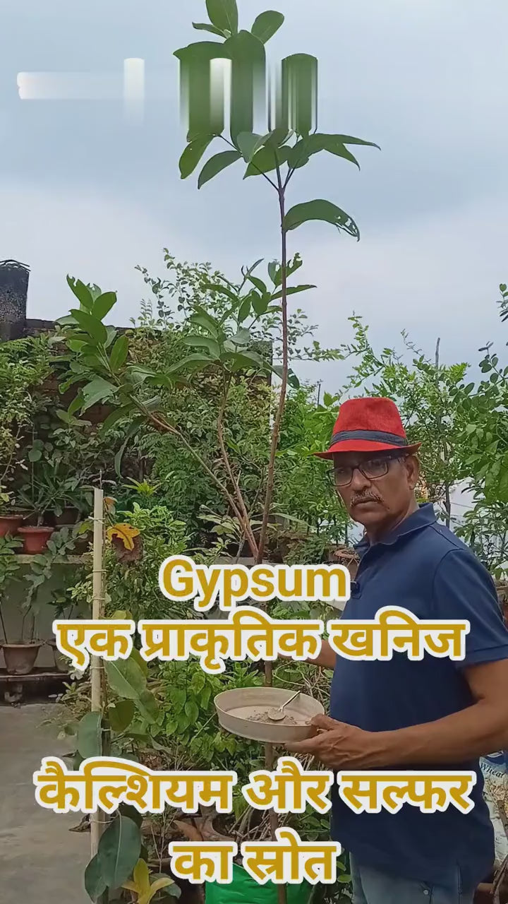 Gypsum Fertilizer (350 gms)