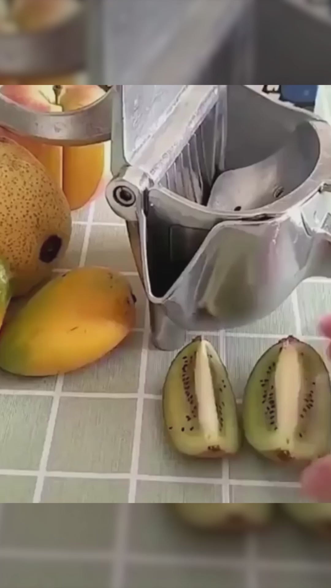 Manual Fruit Press Aluminum Squeezer/Juicer